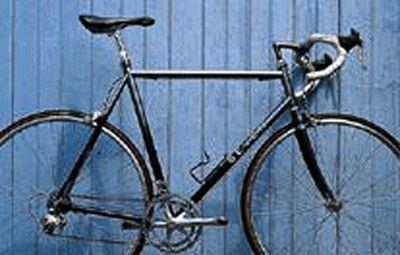 1998 Seven Cycles Axiom (04)